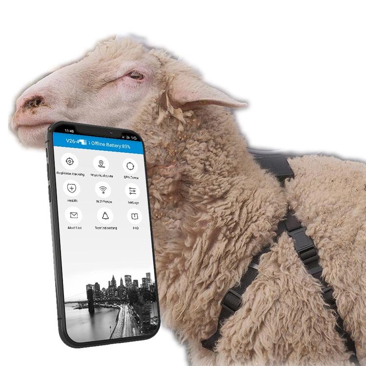 Wholesale Sheep Horse Pet GPS Tracker Husbandry Equipment,Solar Long Life Waterproof Mini Pet Cow GPS Animal anti-lost tracker